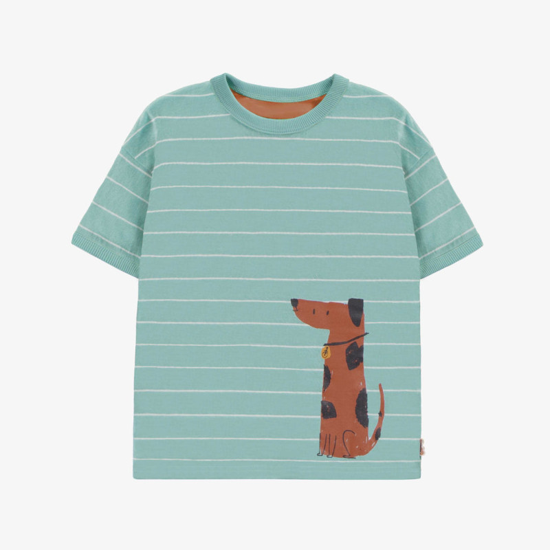 Blue-green striped short sleeves t-shirt with a dog in jersey, child