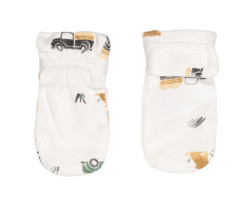 Bamboo Prairie Mittens 0-3m