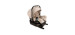 Nuna Pipa Car Seat - Biscotti Clément Exclusive