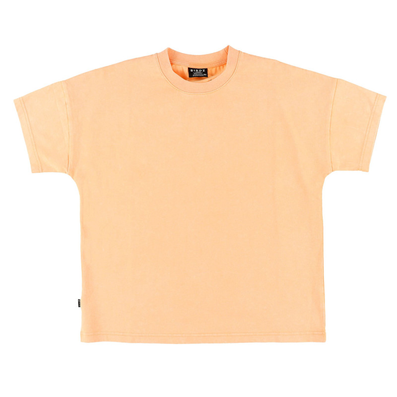 Plain Adult T-shirt