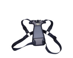 Padded harness for dogs