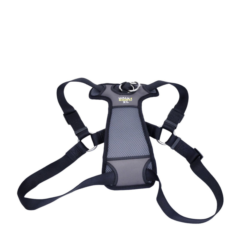 Padded harness for dogs