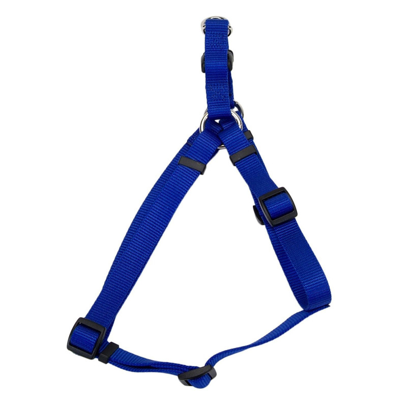 Blue nylon harness