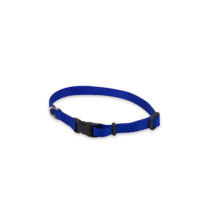 Blue nylon collar