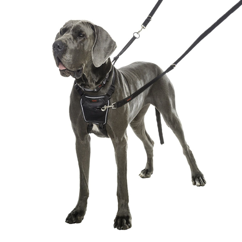 No Pull harness for dogs