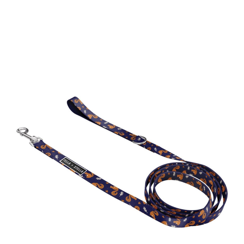 “Rongeur hiker” dog leash…