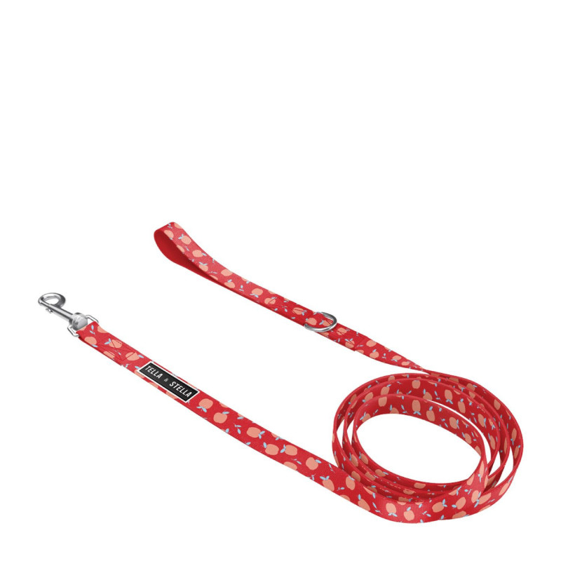 “Chewable” dog leash, L