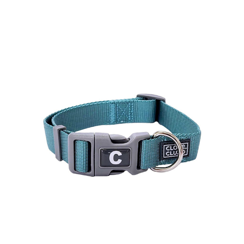 Adjustable collar for dogs, turquoise