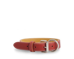 Red stitched leather collar