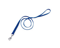 Blue single nylon leash