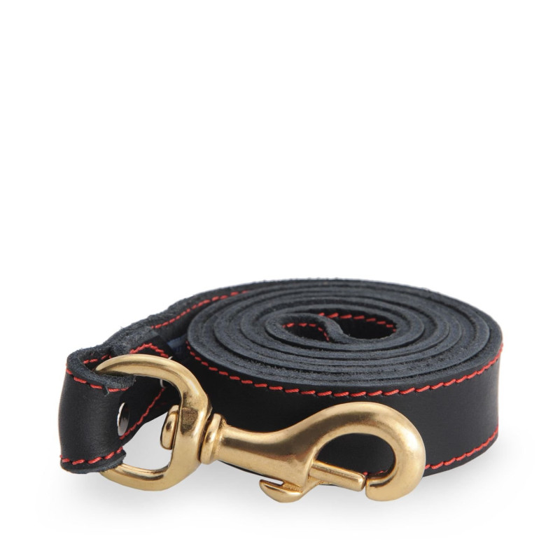 Black stitched leather leash