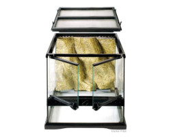 Terrarium en verre Exo Terra, mini, large, 30 x 30 x 30 cm (12 x 12 x 12 po)