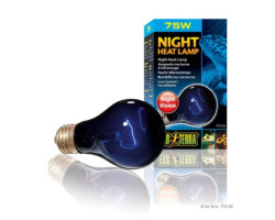 Ampoule incandescente clair de lune Night Glo Exo Terra