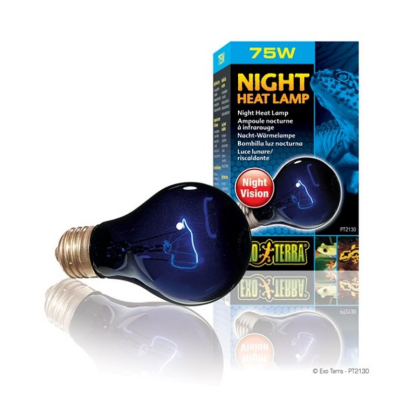 Ampoule incandescente clair de lune Night Glo Exo Terra