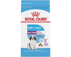 GÉANT CHIOT – nourriture sèche pour chiots – Royal Canin