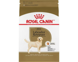 LABRADOR RETRIEVER ADULTE – nourriture sèche pour chiens – Royal Canin