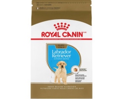 CHIOT LABRADOR RETRIEVER – nourriture sèche pour chiots – Royal Canin