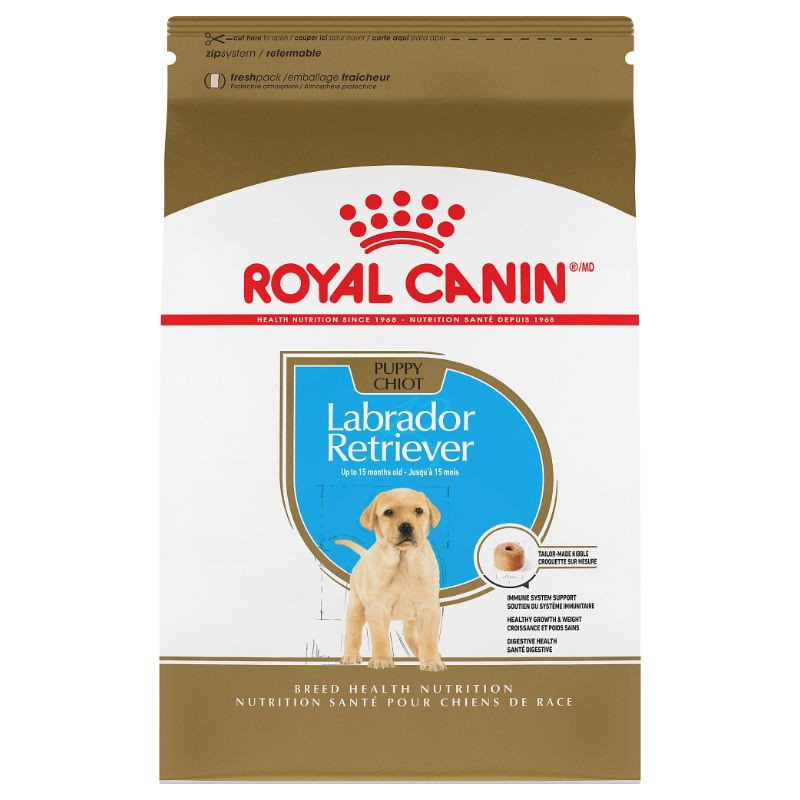 CHIOT LABRADOR RETRIEVER – nourriture sèche pour chiots – Royal Canin