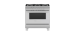 36" range. Fisher & Paykel Stainless Steel OR36SCG4X1