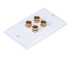 Double speaker wire wall plate