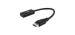 DisplayPort male to HDMI female adapter 8'' cable - Black