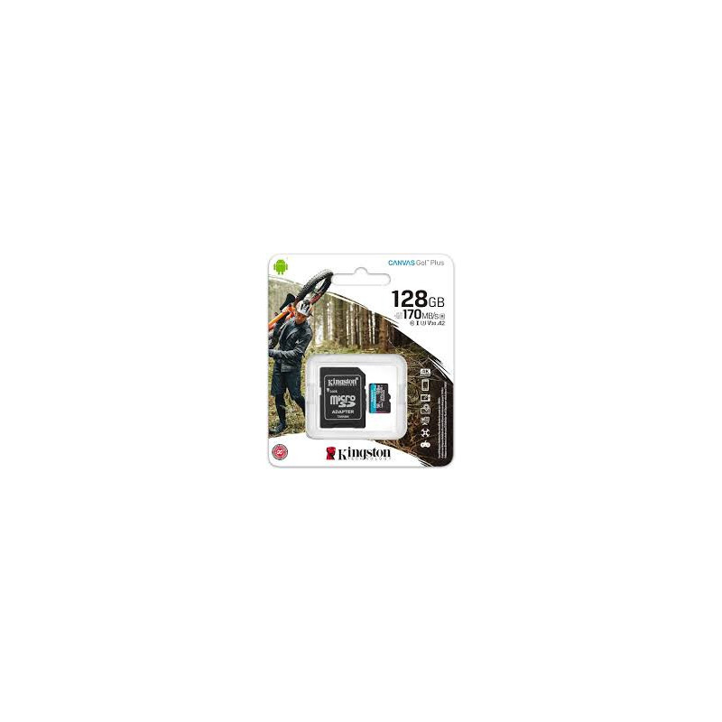 Kingston Canvas Plus 128GB SDCSG3/128GB Class10 Micro SD Flash Memory