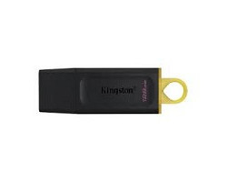 Kingston DataTraveler...