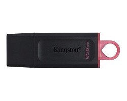 Kingston DataTraveler...