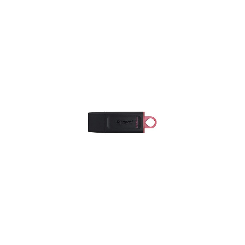 Kingston Clé USB 256GB DTX/256GB USB 3.2 Kingston DataTraveler EXODIA