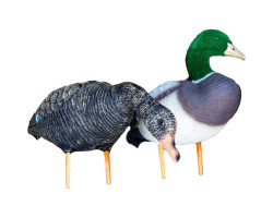 SKYFALLDECOYS Appelants...