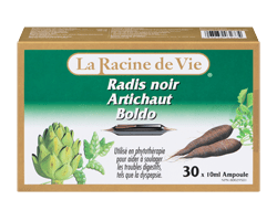 LA RACINE DE VIE Radis noir...