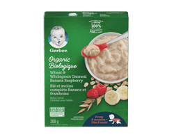 GERBER Céréales pour bébés biologique, blé et avoine complète banane framboise, 208 g