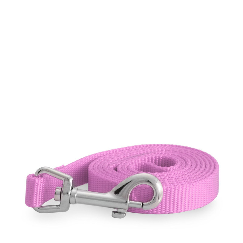 Single Hot Pink Nylon Leash