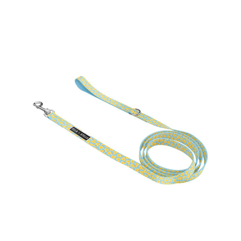 “Quack” leash for dogs