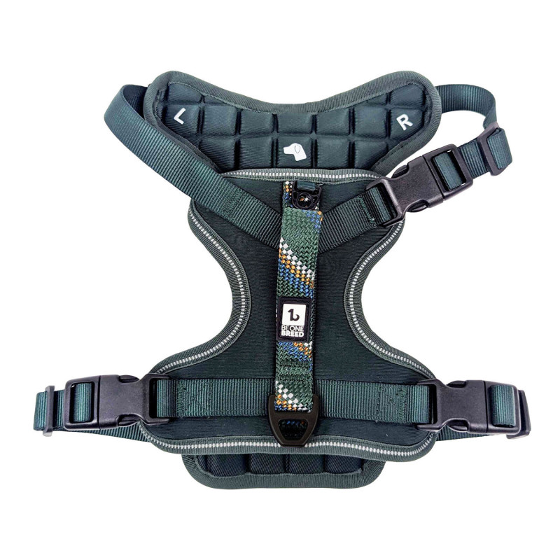 Padded harness with paracord for dogs…