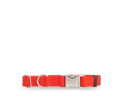 Red nylon collar