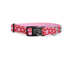 “Mila” adjustable collar for dogs