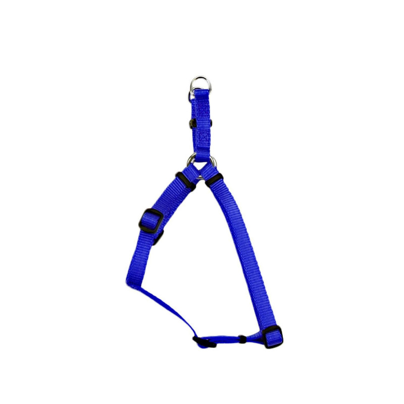 Blue nylon harness