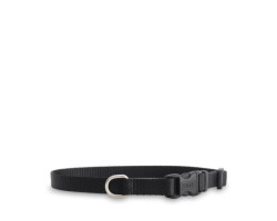 Black nylon collar