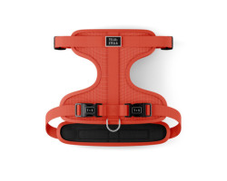 Tango harness for dogs