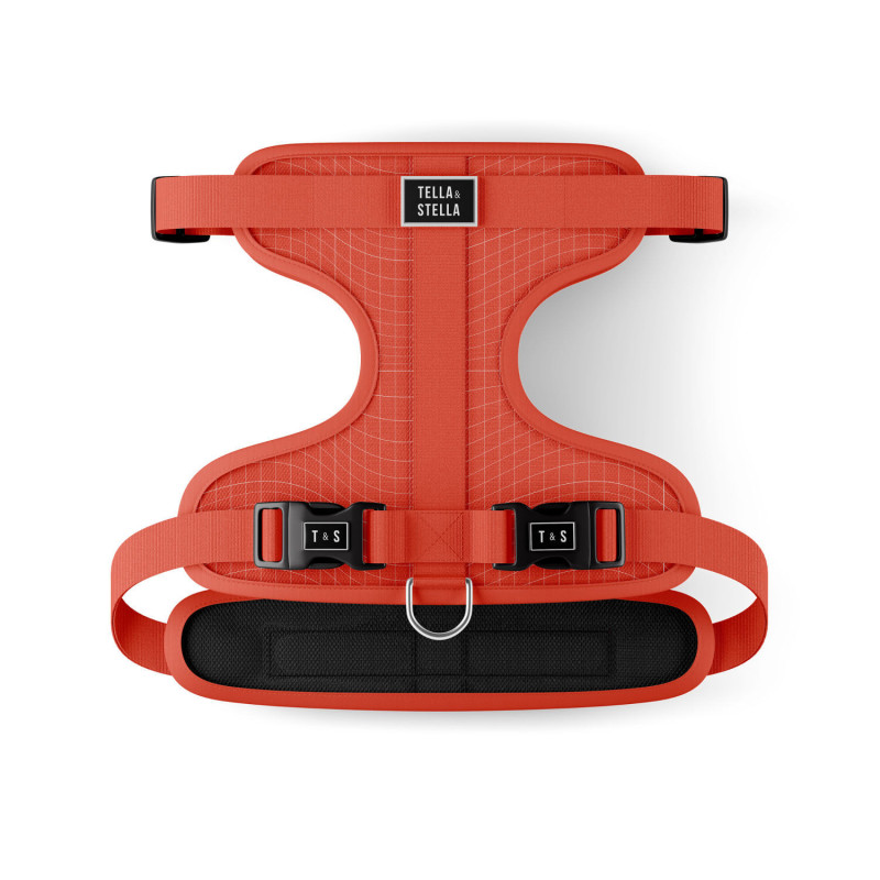 Tango harness for dogs