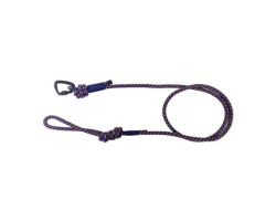 Paracord leash for dogs