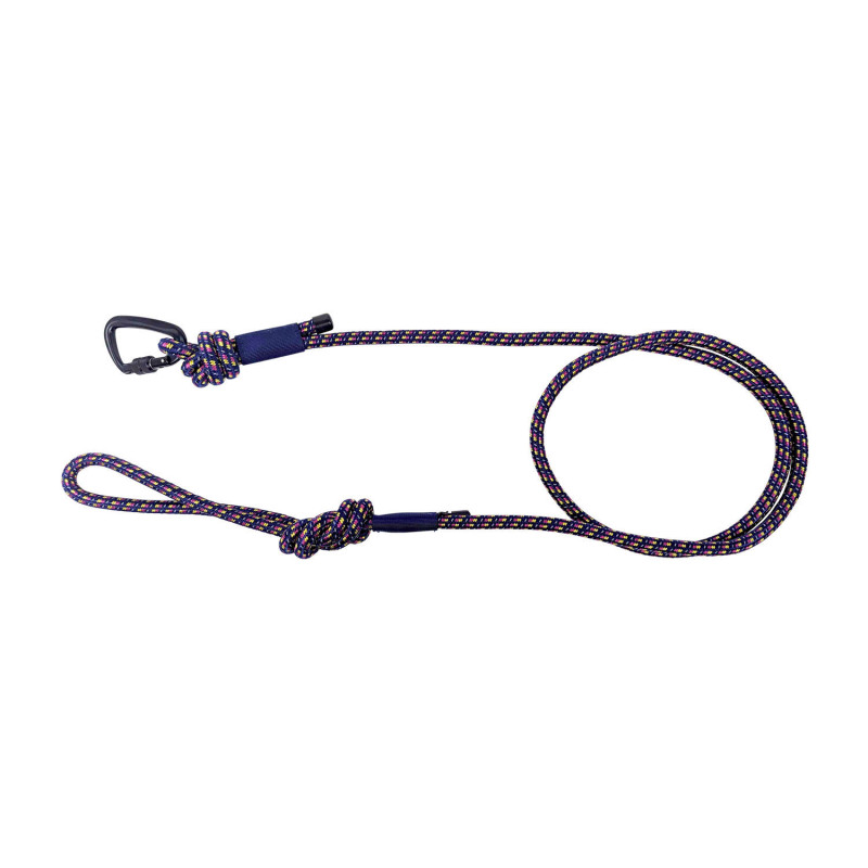 Paracord leash for dogs