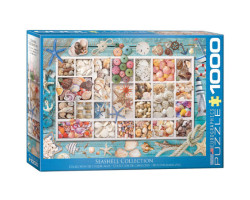 Eurographics Seashell Collection 1000 piece puzzle