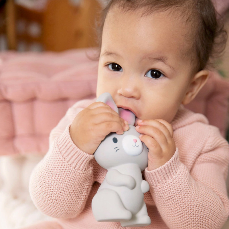 Sylvi Rabbit Teething Toy