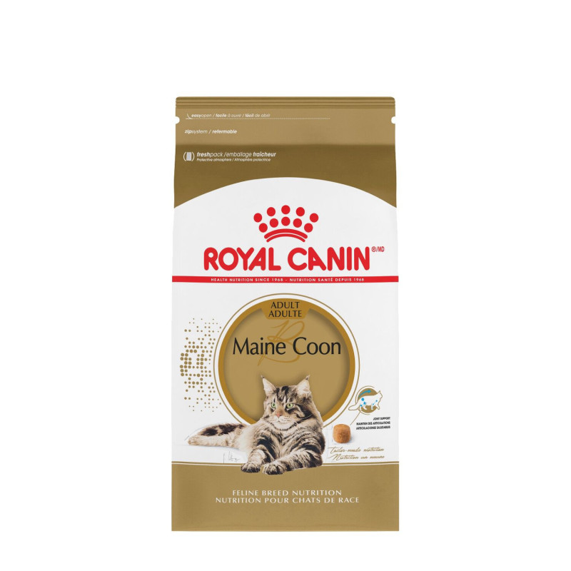 Maine Coon cat food