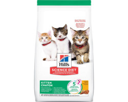 Dry chicken food for kittens