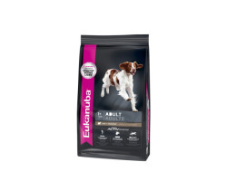 Lamb formula for adult dogs, …