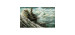 Magic the gathering -  surface de jeu - by rkf - "nebuchadnessar" (61 cm x 35 cm)
