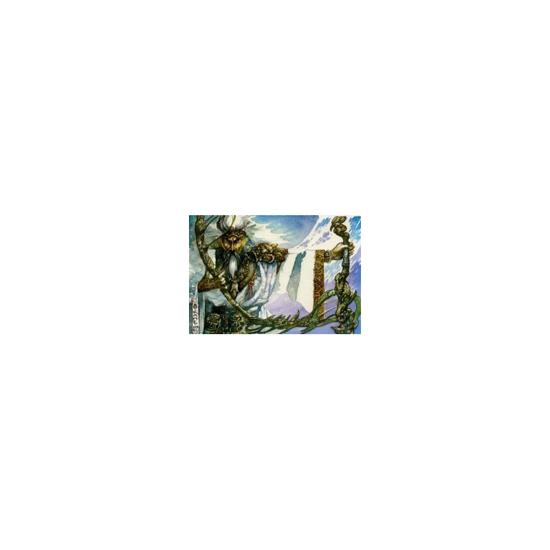 Magic the gathering -  surface de jeu - by rkf - "elder druid" (61 cm x 35 cm)